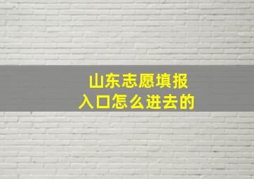 山东志愿填报入口怎么进去的