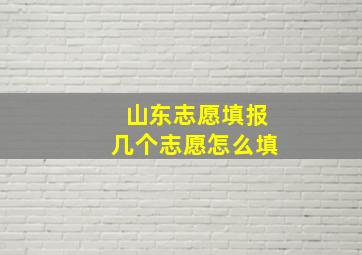 山东志愿填报几个志愿怎么填