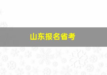 山东报名省考