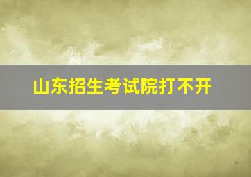 山东招生考试院打不开