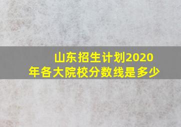 山东招生计划2020年各大院校分数线是多少