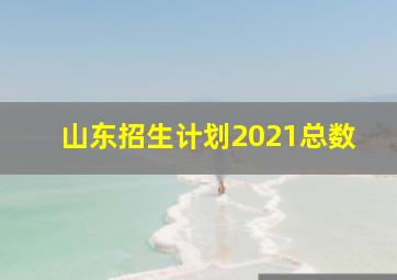 山东招生计划2021总数