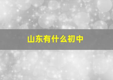 山东有什么初中