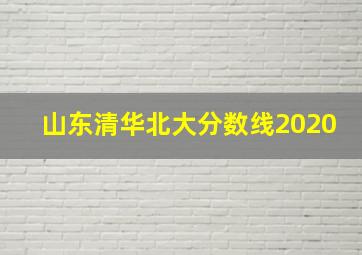 山东清华北大分数线2020