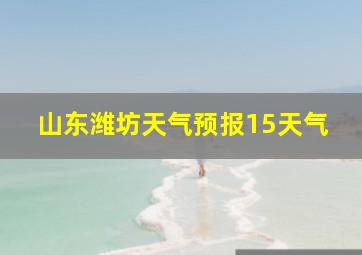 山东潍坊天气预报15天气