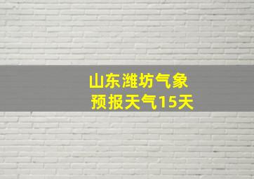 山东潍坊气象预报天气15天