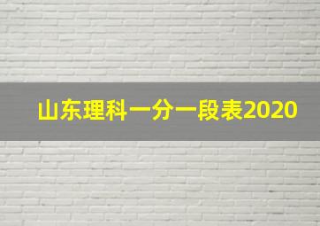 山东理科一分一段表2020