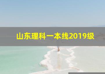 山东理科一本线2019级