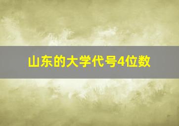 山东的大学代号4位数