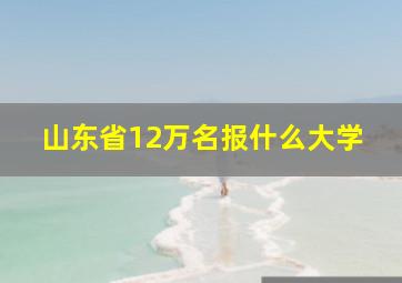 山东省12万名报什么大学