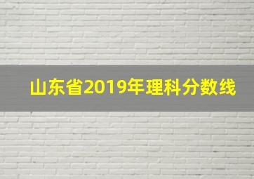 山东省2019年理科分数线