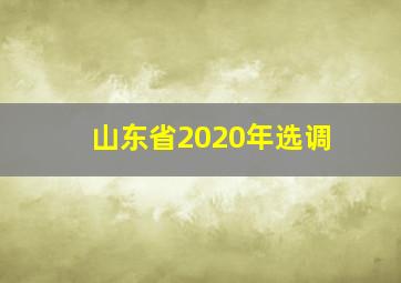 山东省2020年选调