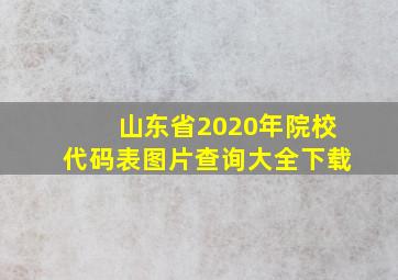 山东省2020年院校代码表图片查询大全下载