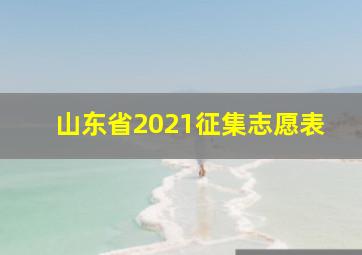 山东省2021征集志愿表