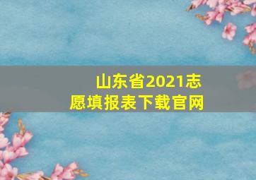 山东省2021志愿填报表下载官网