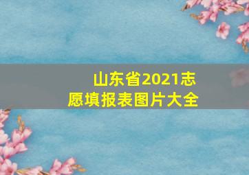 山东省2021志愿填报表图片大全