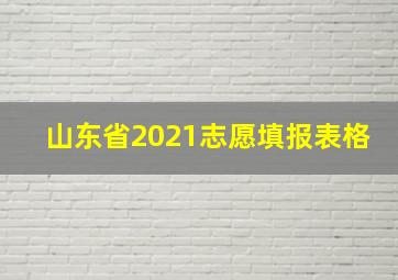 山东省2021志愿填报表格