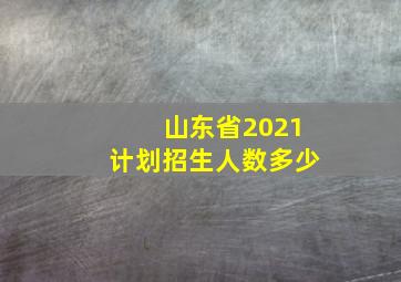 山东省2021计划招生人数多少