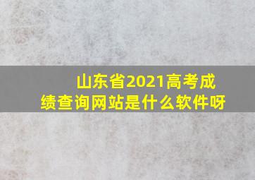 山东省2021高考成绩查询网站是什么软件呀