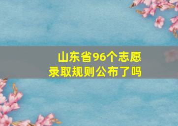 山东省96个志愿录取规则公布了吗