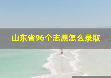 山东省96个志愿怎么录取