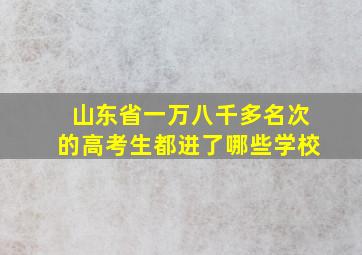 山东省一万八千多名次的高考生都进了哪些学校