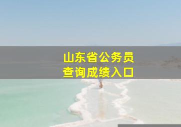 山东省公务员查询成绩入口