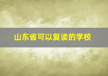 山东省可以复读的学校