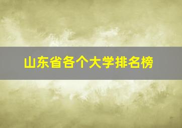 山东省各个大学排名榜