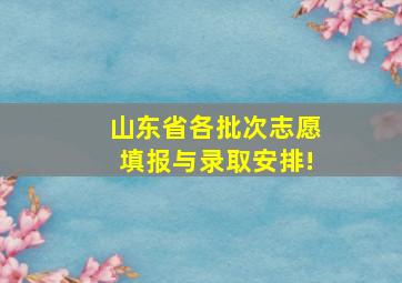 山东省各批次志愿填报与录取安排!