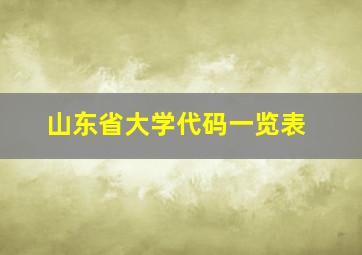 山东省大学代码一览表