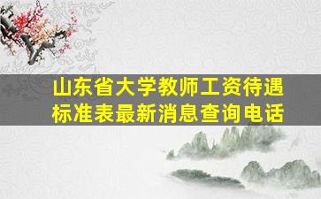 山东省大学教师工资待遇标准表最新消息查询电话