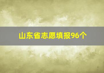 山东省志愿填报96个