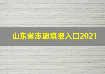 山东省志愿填报入口2021