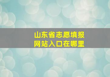 山东省志愿填报网站入口在哪里