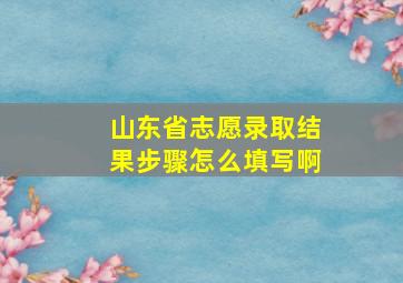 山东省志愿录取结果步骤怎么填写啊