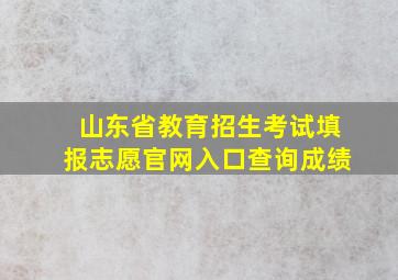 山东省教育招生考试填报志愿官网入口查询成绩