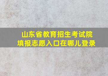 山东省教育招生考试院填报志愿入口在哪儿登录