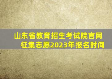 山东省教育招生考试院官网征集志愿2023年报名时间