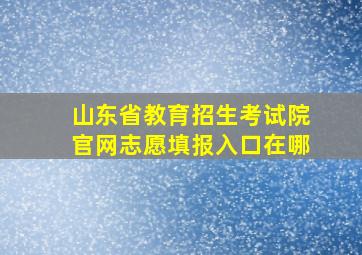 山东省教育招生考试院官网志愿填报入口在哪