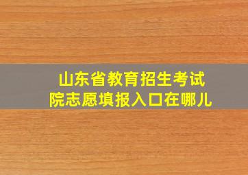 山东省教育招生考试院志愿填报入口在哪儿