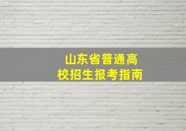 山东省普通高校招生报考指南