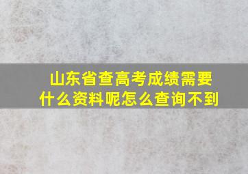 山东省查高考成绩需要什么资料呢怎么查询不到