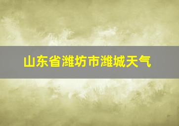 山东省潍坊市潍城天气