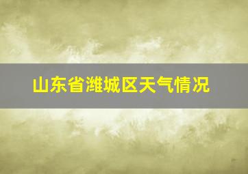 山东省潍城区天气情况