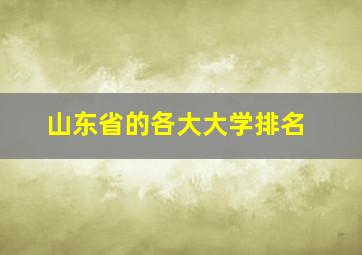 山东省的各大大学排名