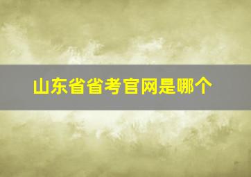 山东省省考官网是哪个