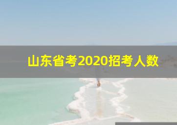 山东省考2020招考人数