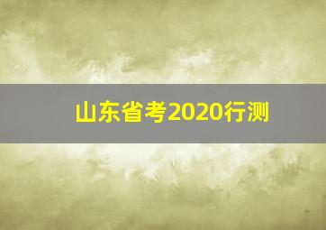 山东省考2020行测