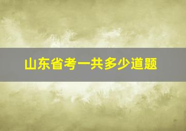 山东省考一共多少道题